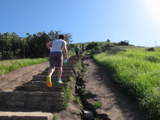 The Baldwin Hills Scenic Overlook is known for the Culver City Stairs, which trek up the side of the park's 511-foot hill.