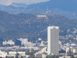 But amid the views of the Hollywood Sign and landmark building, the parks also host wildlife, from lizards and bats to small mammals.