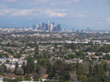 Researchers have been trying to tally the wildlife within view of downtown Los Angeles for the latest Biota of Baldwin Hills study.