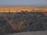 Anza-Borrego also includes badlands.
