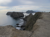 Bird watchers scout the coast of Anacapa Island for bald eagles and hawks. The islands in the park are looped by hiking trails, where volunteers often remove invasive iceplant.